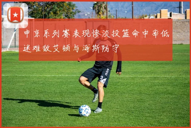 申京系列赛表现惨淡投篮命中率低迷难敌艾顿与海斯防守