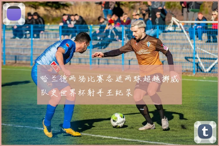 哈兰德两场比赛各进两球超越挪威队史世界杯射手王纪录